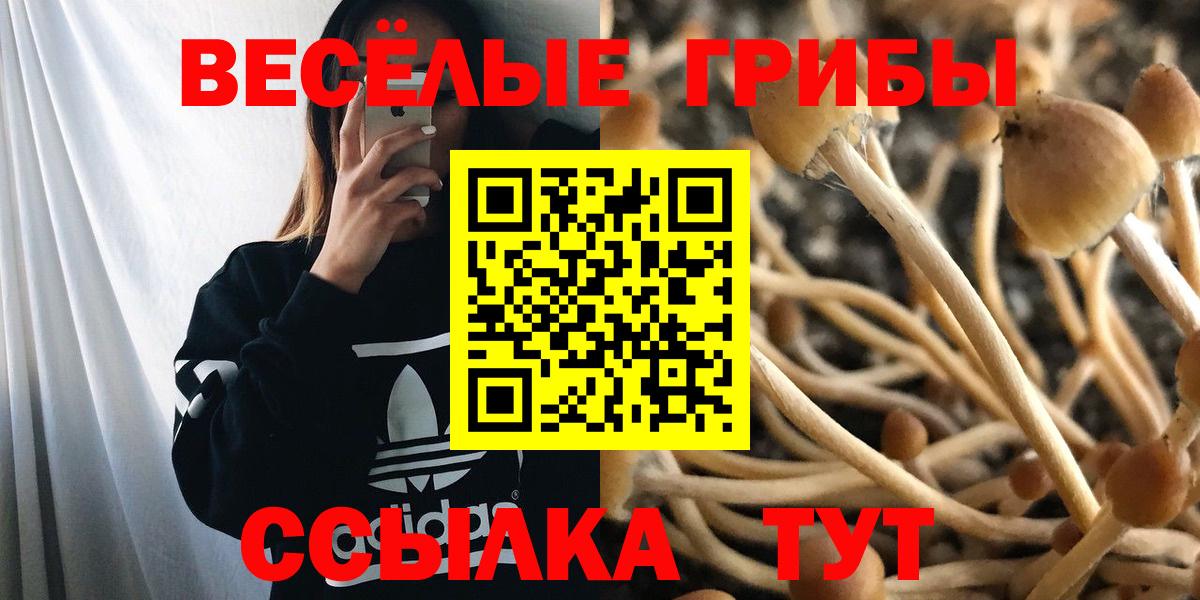Галлюциногенные грибы ЛСД Карачаевск