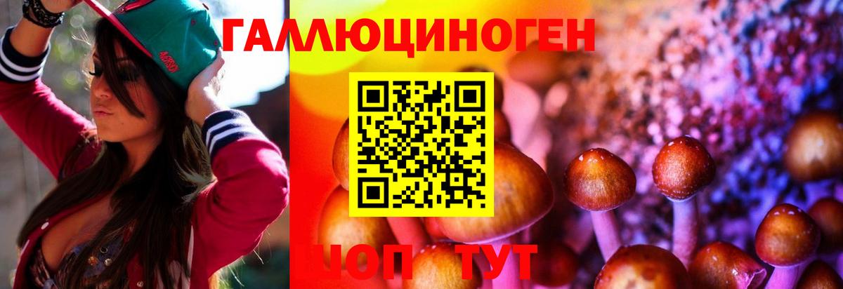 Галлюциногенные грибы Magic Shrooms  Псилоцибиновые грибы Psilocybine cubensis  Вход с VPN  Карачаевск 